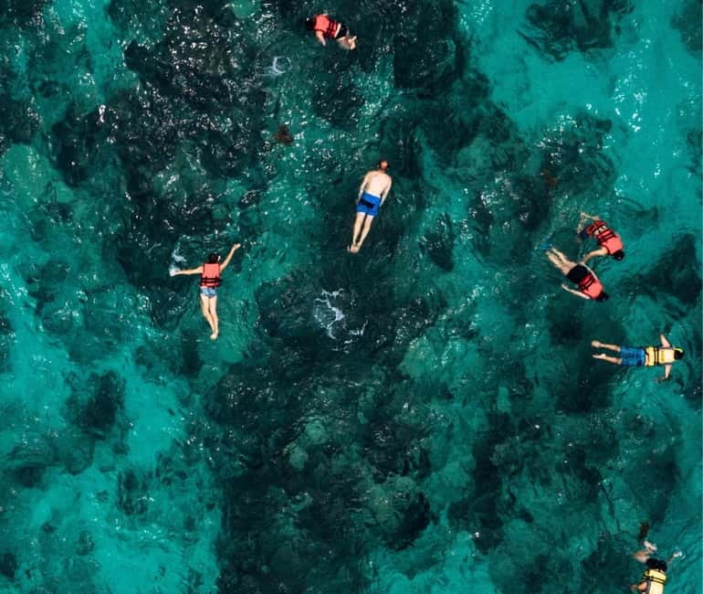 Mallorca: Palma Boat Tour & Snorkeling with Drink Included - Should you book the Palma boat tour?