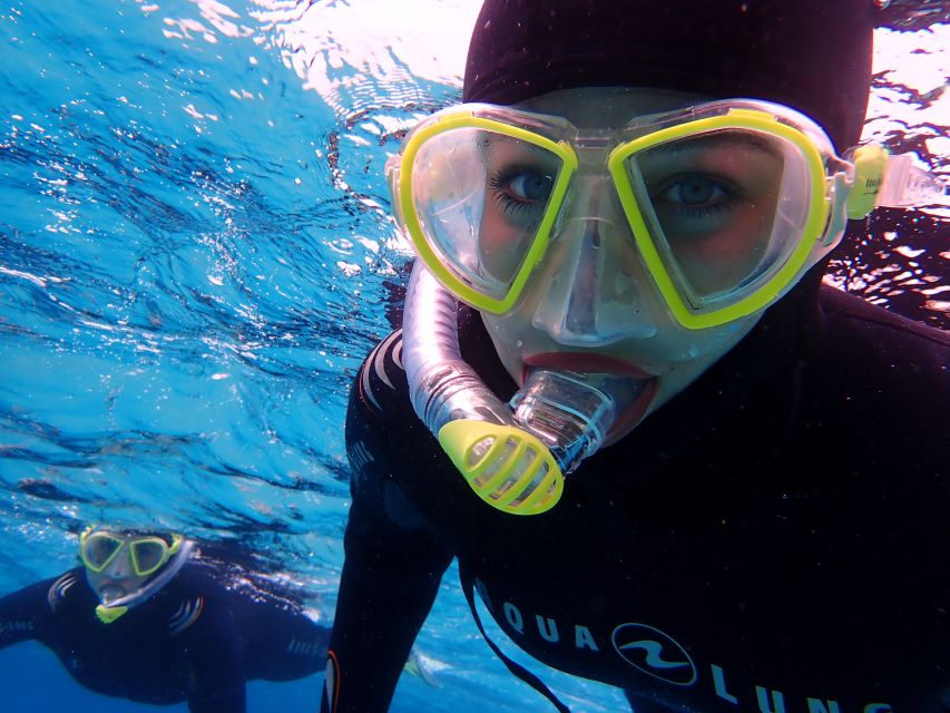 Mallorca: Snorkeling in a Beautiful Nature Reserve - Getting to the coast from Playa de Palma or by car