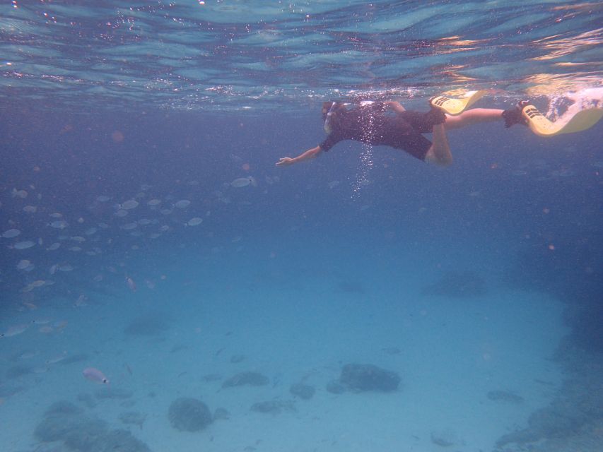 Mallorca: Snorkeling in a Beautiful Nature Reserve - The protected water and its underwater scenery