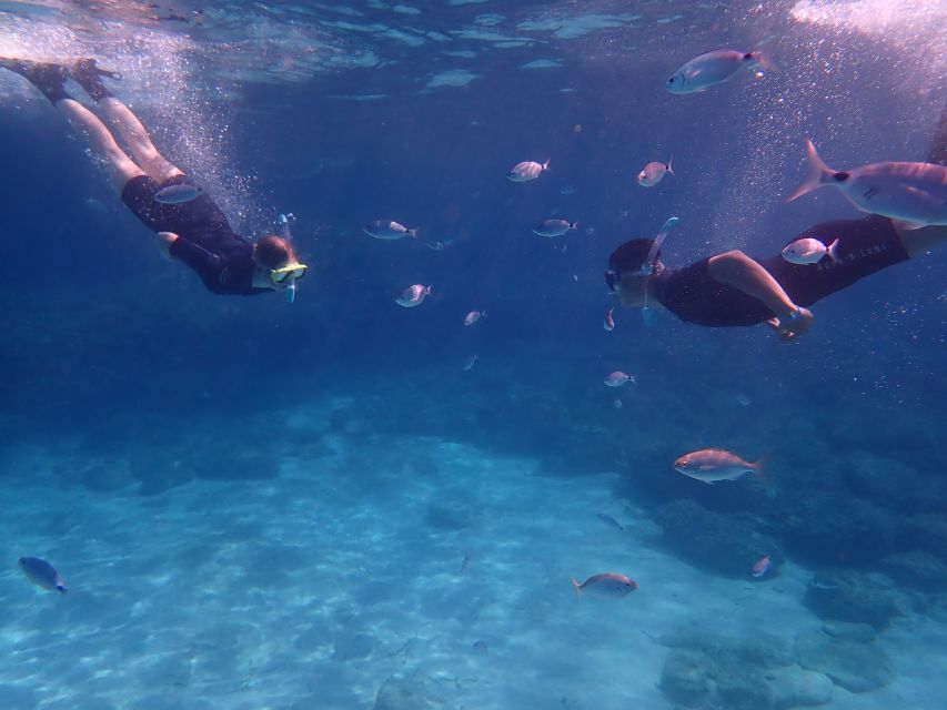 Mallorca: Snorkeling in a Beautiful Nature Reserve - What children and nervous swimmers should know