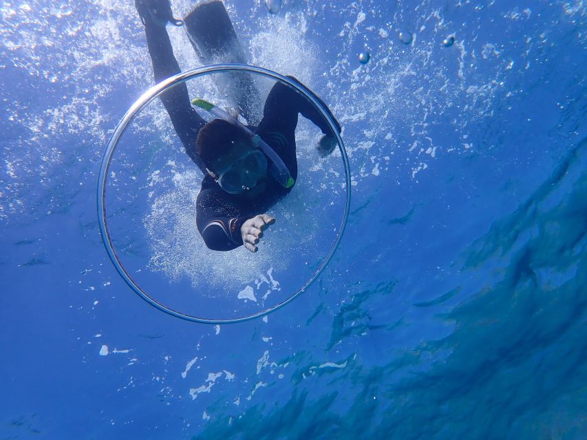 Mallorca: Snorkeling in a Beautiful Nature Reserve - Is $82 good value for Mallorca?