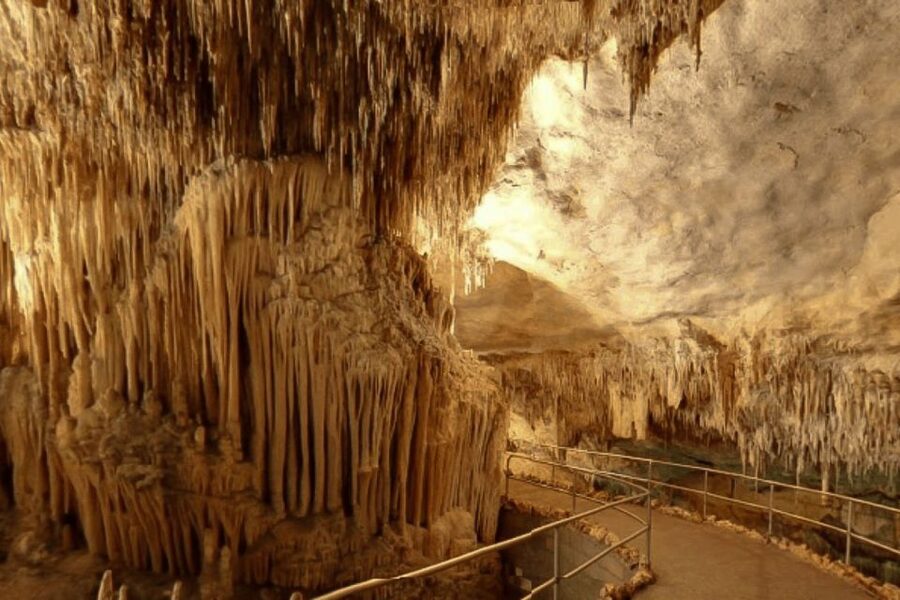 Mallorca: Ticket for Caves of Drach with Pickup Service - What the Caves of Drach visit is really like