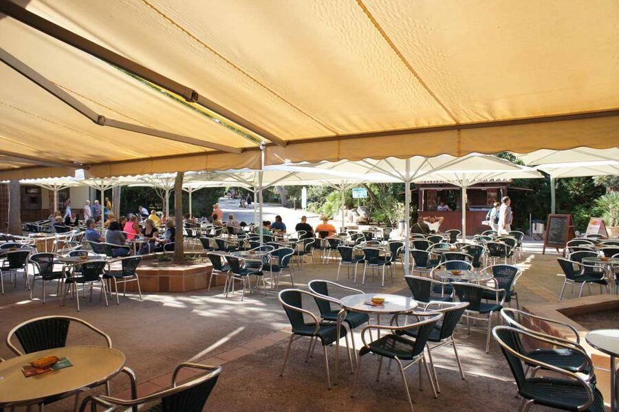 Mallorca: Ticket for Caves of Drach with Pickup Service - A self-guided route through the cave rooms