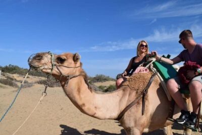Guided Camel Ride in the Maspalomas Sand Dunes