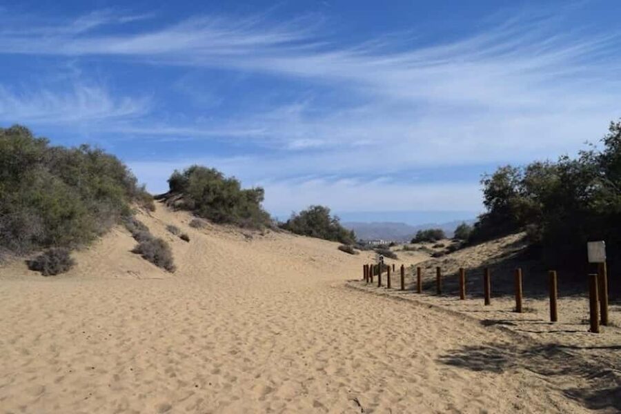 Maspalomas: Guided Camel Ride in the Maspalomas Sand Dunes - Timing, waiting, and how to plan the day