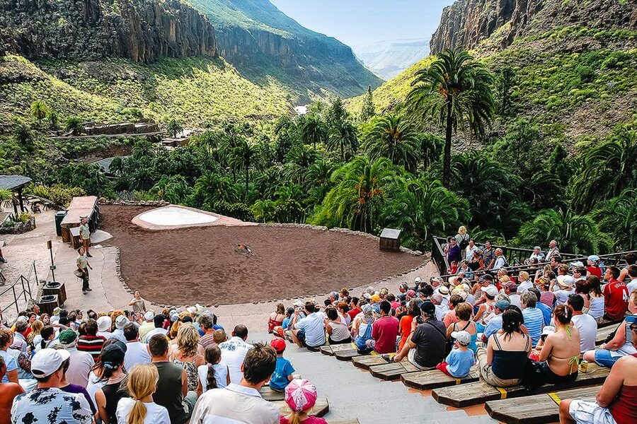 Maspalomas: Palmitos Park Ticket with Dolphin and Bird Shows - Parrots and exotic birds keep the day moving