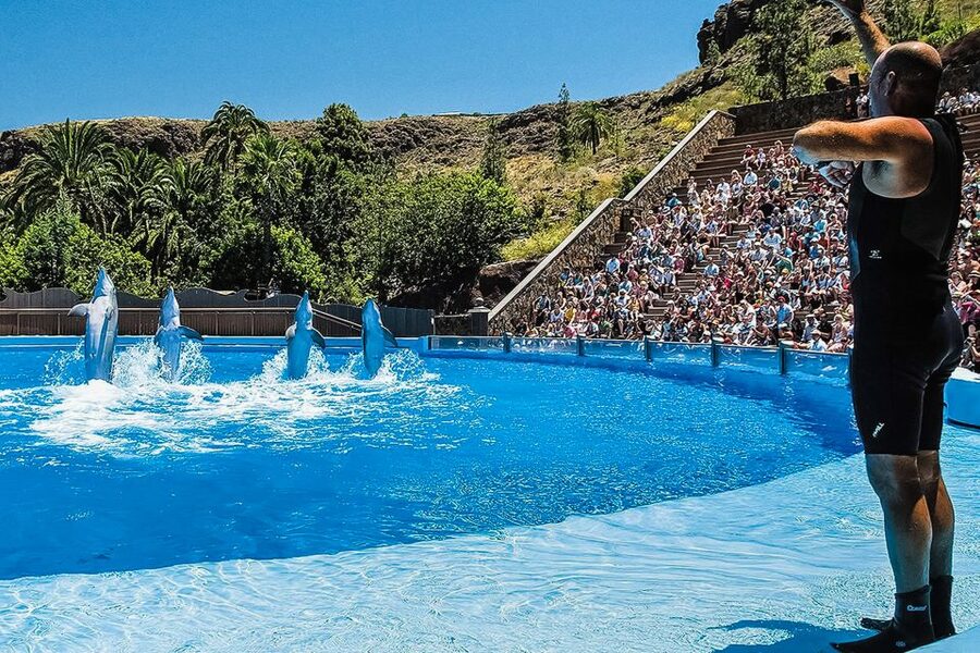 Maspalomas: Palmitos Park Ticket with Dolphin and Bird Shows - Butterflies, orchids, and the aquarium offer a quieter pace