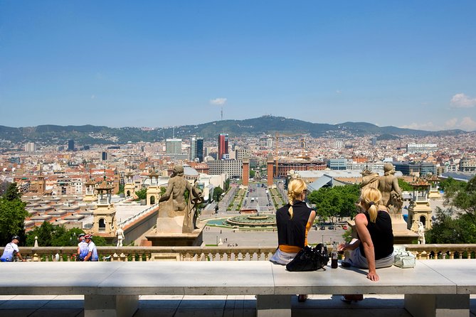 MNAC Barcelona: National Art Museum of Catalonia Admission Ticket - Roof terrace, gardens, and Barcelona views