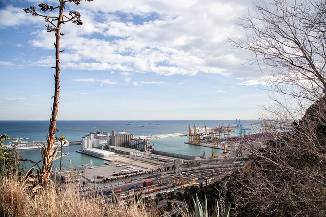 Montjuïc Walking Tour With Optional Flamenco Show - Montjuïc is Barcelona’s hill with a slower pace