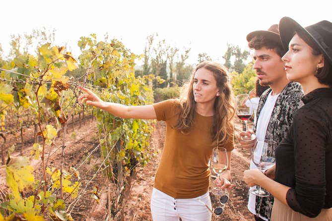 Montserrat & Cogwheel Train, Gourmet Wine Tasting & Tapas/Lunch - Oller del Mas and the 10th-century castle-winery