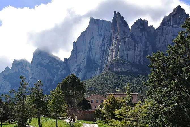 Montserrat,Vineyard, Wine Tasting Small Group Tour & Hotel Pickup - What the cava tasting really includes