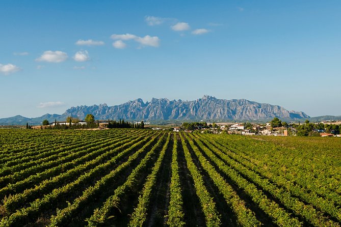 Montserrat,Vineyard, Wine Tasting Small Group Tour & Hotel Pickup - Why the small group makes a difference