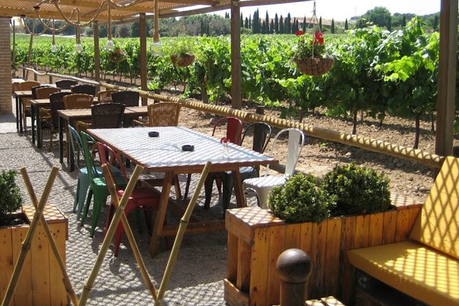 Montserrat & Winery Visit Tour with Traditional Farmhouse Lunch - Three hours to walk, ride, or simply look around