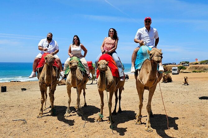 Morocco: Tangier Private Tour from Malaga & Tarifa, All Inclusive - The early drive to Tarifa and the ferry crossing