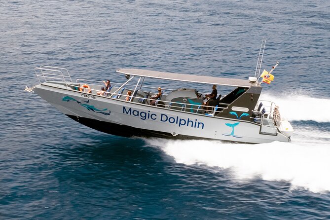 Morro Jable: 2 Hours Magic Dolphin & Whale watching with Drinks & Swim Stop. - Leaving Morro Jable in search of marine life