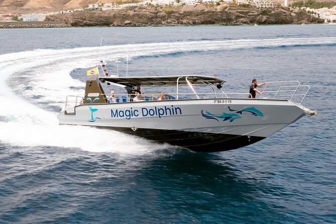Morro Jable: 2 Hours Magic Dolphin & Whale watching with Drinks & Swim Stop. - The Jandía Bay swim stop