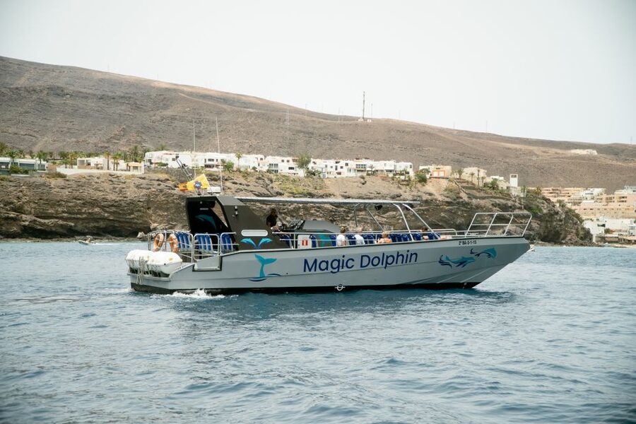 Morro Jable: Dolphin & Whale Watching Cruise, Drinks & Swim - Guides who make the sightings easier to understand