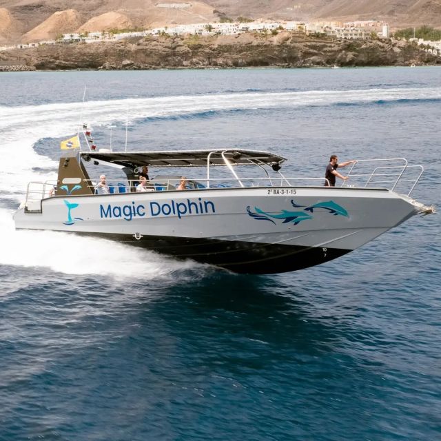 Morro Jable: Dolphin & Whale Watching Cruise, Drinks & Swim - Cold drinks and a swim in Jandía