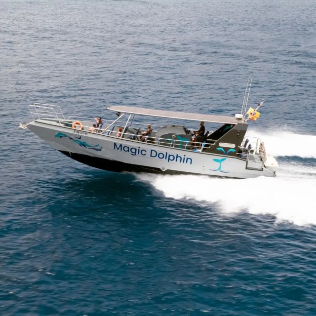 Morro Jable: Dolphin & Whale Watching Cruise, Drinks & Swim - Searching the water for dolphins and whales