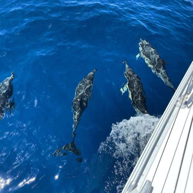 Morro Jable: Sailing Boat Excursion with Food and Drinks - The Anchorage, Swim, and Snorkel Stop