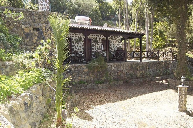 Mt. Teide and Masca Valley Tour in Tenerife - Icod de los Vinos and the ancient Drago Tree