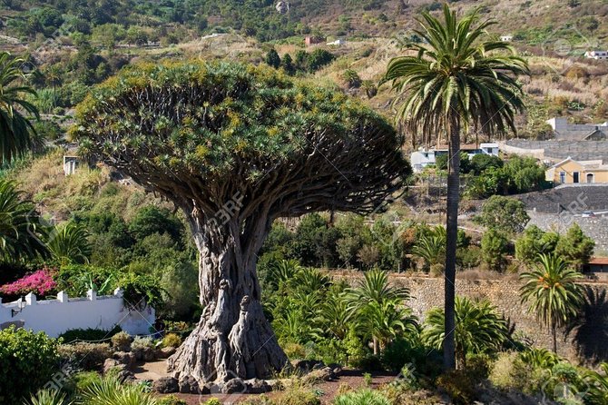 Mt. Teide and Masca Valley Tour in Tenerife - Garachico, lava, and the natural pools
