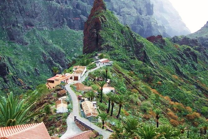 Mt. Teide and Masca Valley Tour in Tenerife - Reaching the high country around Mount Teide