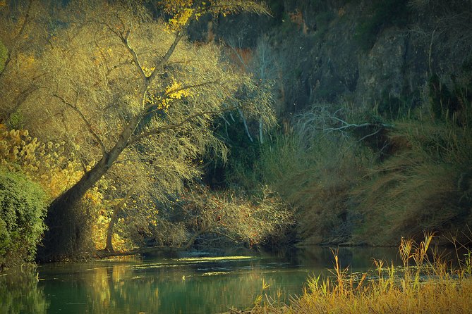 Murcia: Canyon of Almadenes Rafting, Caves & Photos - How much does the $35.09 price deliver?