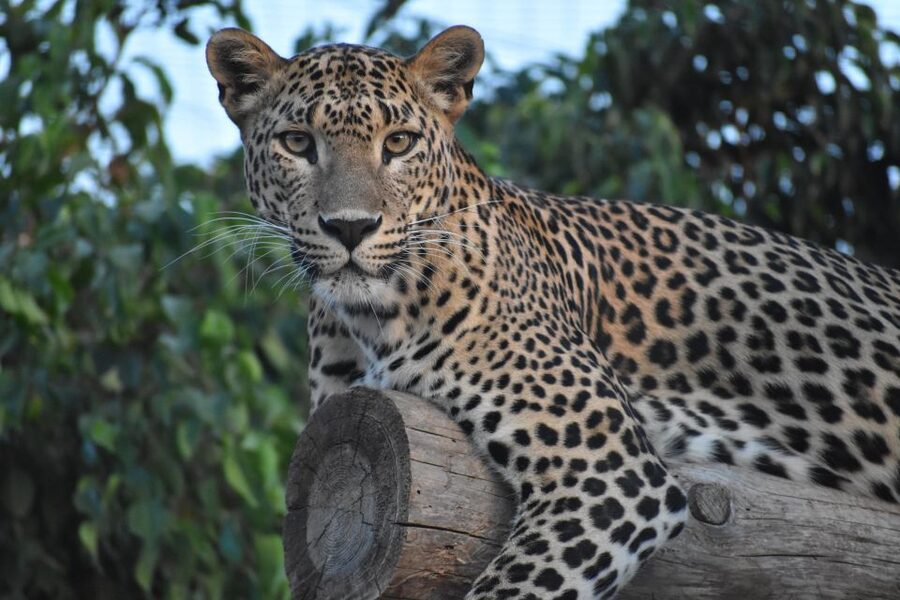 Murcia: Terra Natura Murcia Ticket Entry - Opening hours change with the season