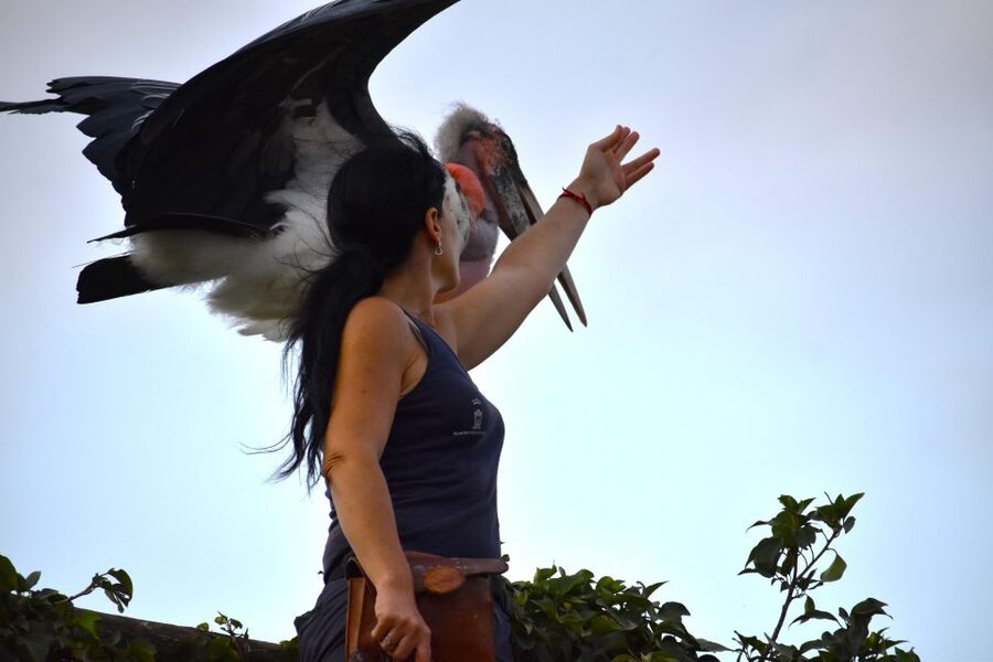 Murcia: Terra Natura Murcia Ticket Entry - Is the $10 ticket good value?