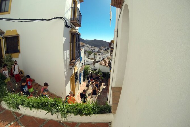 Natural Parck Jeep Eco Tour from Costa del Sol - Pickup, timing, and the booking details that matter