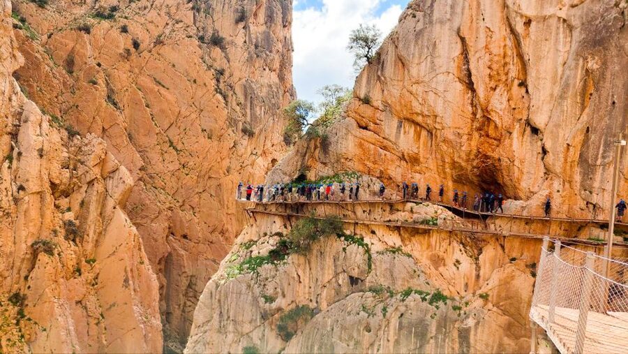 Nerja, Torrox, or Torre del Mar: Caminito del Rey Day Trip - Key points to know before booking