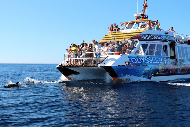Odyssee 3: The Glass Bottom Boat Tour in Fuerteventura - Seasickness, safety, and family comfort