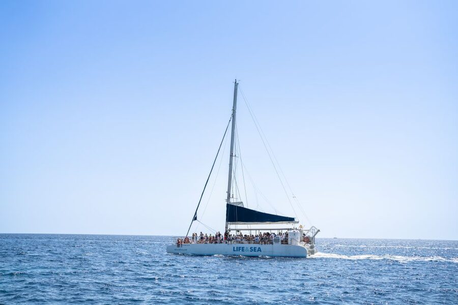 Palma: Catamaran Cruise with Swimming and Snorkelling - A short catamaran escape from Playa del Arenal