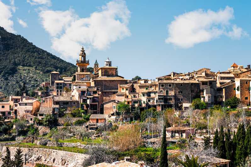 Palma, Cathedral & Valldemossa: Guided walking Tour - Key points at a glance