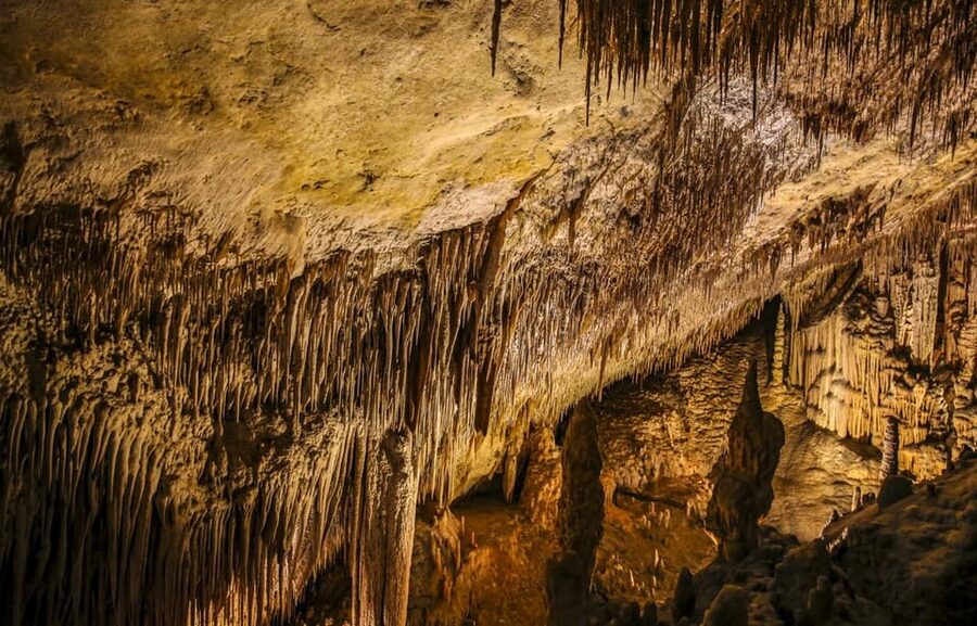 Palma: Caves of Drach Entrance, Music Concert, and Boat Trip - Key points to know before you book