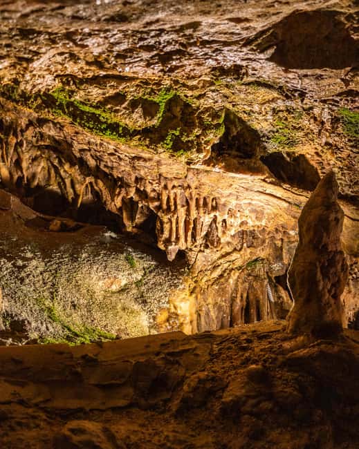 Palma: Caves of Genova Ticket & Digital Informational Video - Following the 36-meter underground route