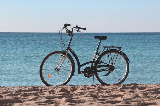 Palma de Mallorca Easy Bike Tour (Small Groups) - Almudaina Palace and the cathedral quarter