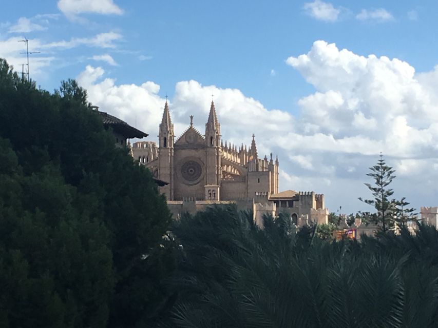 Palma de Mallorca: Guided Tour of the Old Town - Key points to know before you book