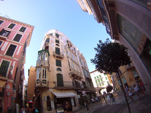 Palma de Mallorca: Guided Tour of the Old Town - Almudaina Palace, the city wall, and royal Palma