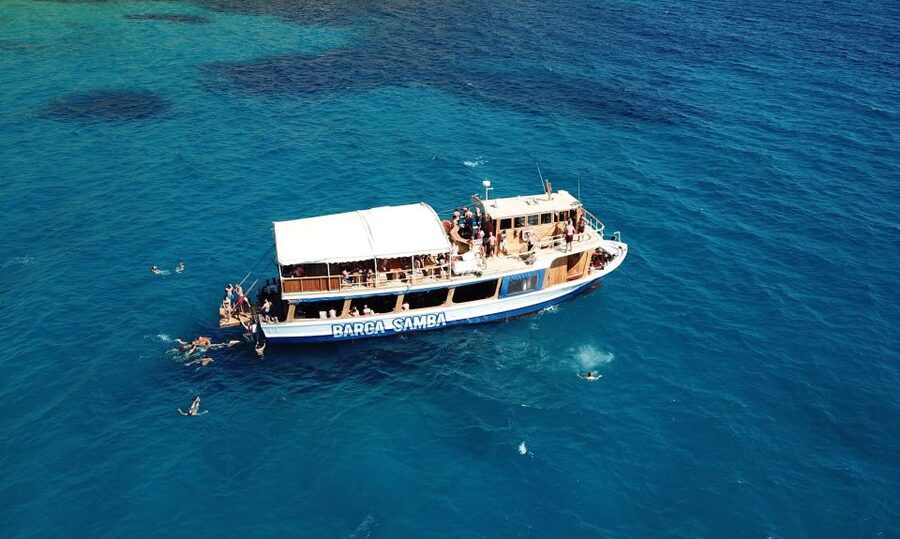 Palma de Mallorca: Palma Bay Boat Tour with Snorkeling - Music, dancing, and the Diego factor