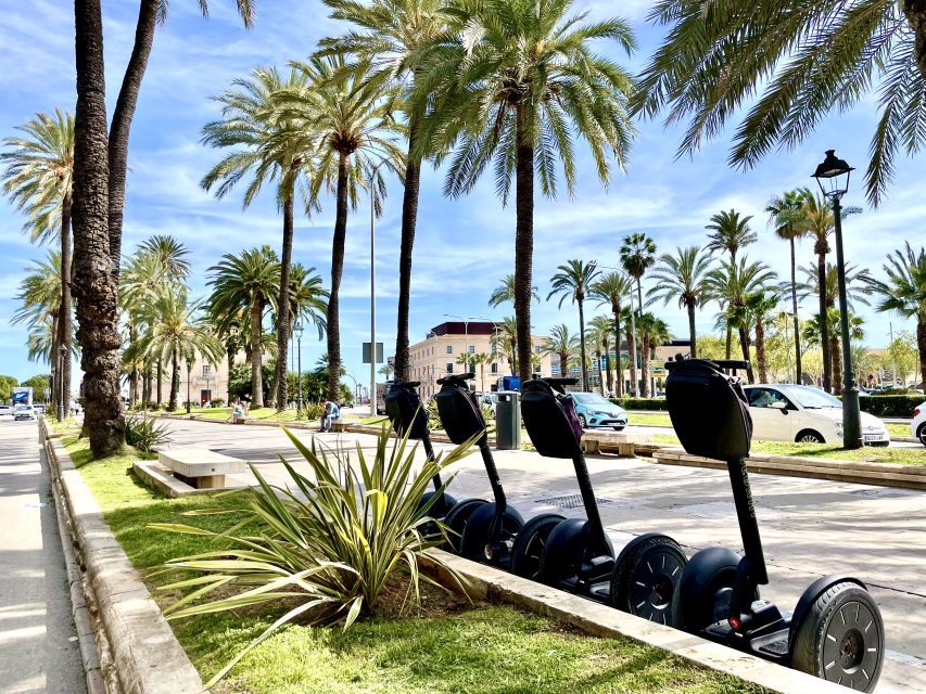 Palma de Mallorca: Sightseeing Segway Tour with Local Guide - Parc de la Mar and the best photo stop