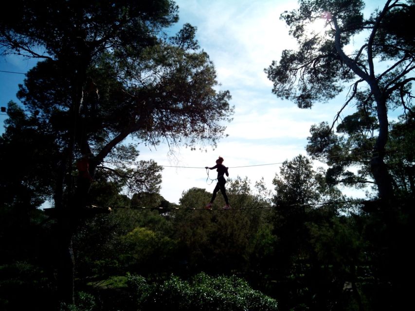 Palma: Family or Sports Course Adventure at Forestal Park - What Forestal Park Mallorca actually feels like