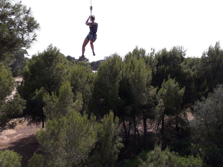 Palma: Family or Sports Course Adventure at Forestal Park - The Sport Course, including the Tarzan swing