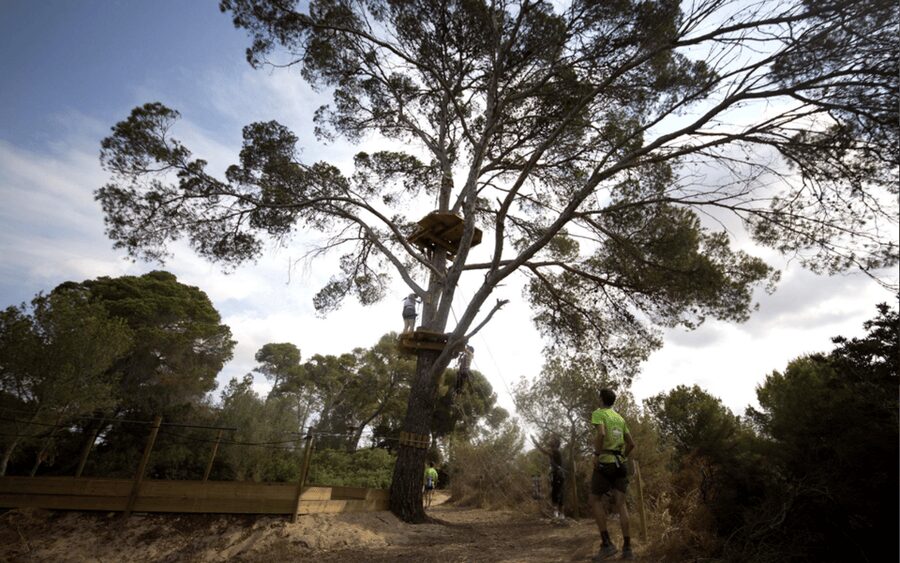Palma: Family or Sports Course Adventure at Forestal Park - Timing, food, and what to wear