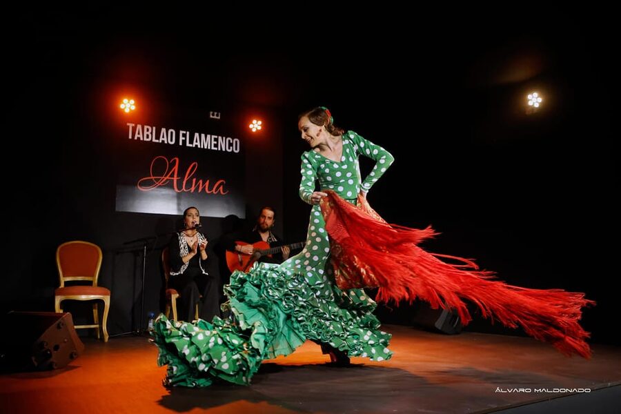 Palma: Flamenco Show at Tablao Flamenco Alma with Drink - Seating, sightlines, and families