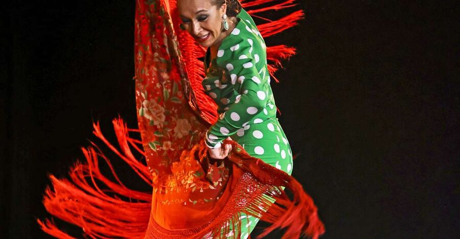 Palma: Flamenco Show at Tablao Flamenco Alma with Drink - Who will enjoy Tablao Flamenco Alma most