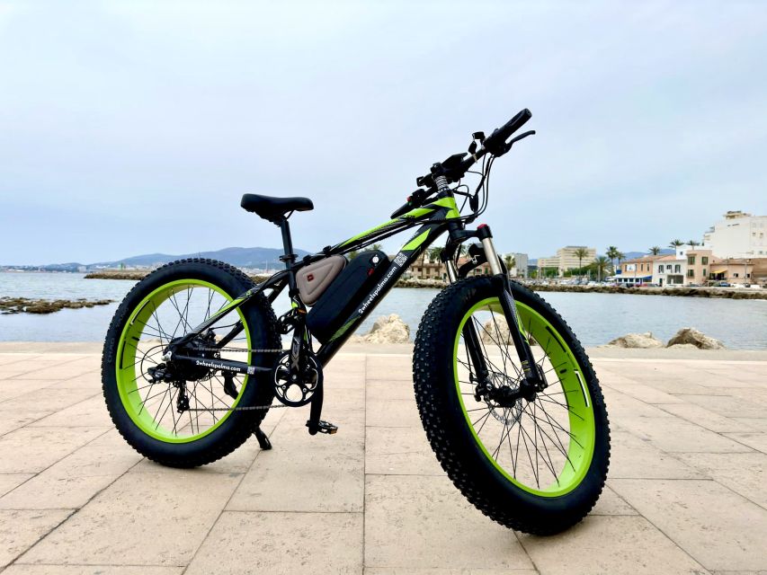 Palma: Guided City Tour with a Fat Tire E-Bike - Getting Set Up Near the Cathedral