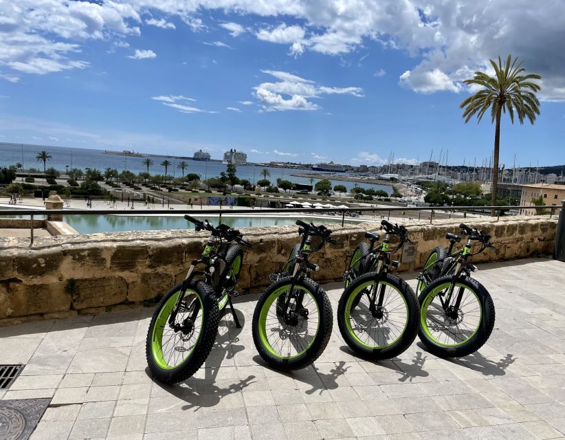 Palma: Guided City Tour with a Fat Tire E-Bike - The Guides Make the Biggest Difference
