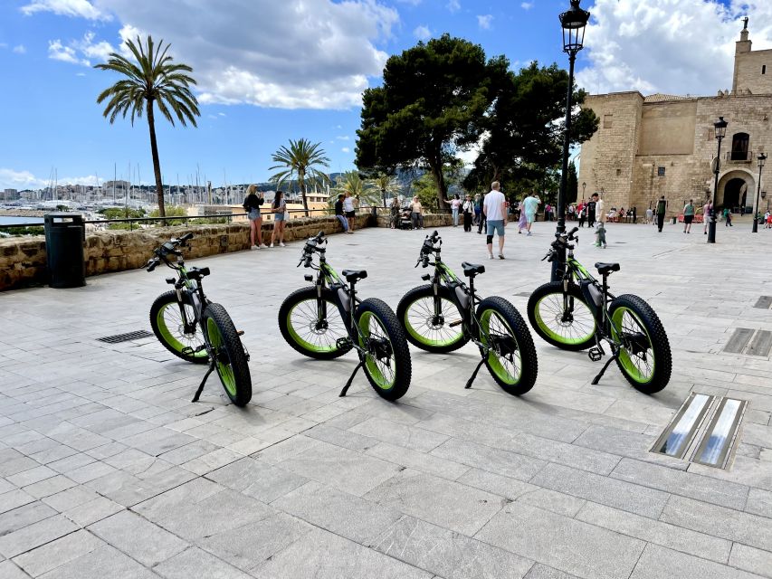 Palma: Guided City Tour with a Fat Tire E-Bike - Is the $41 Price Worth It?